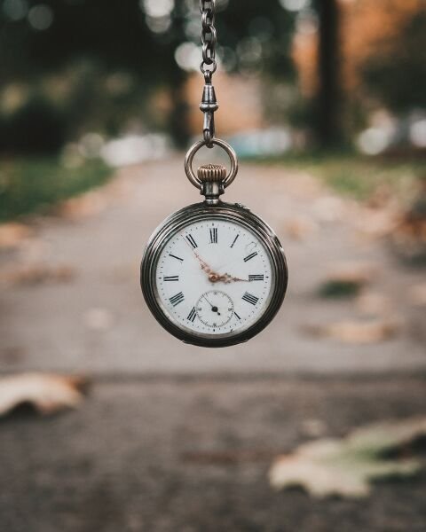 파일:Andrik-langfield-0rTCXZM7Xfo-unsplash.jpg